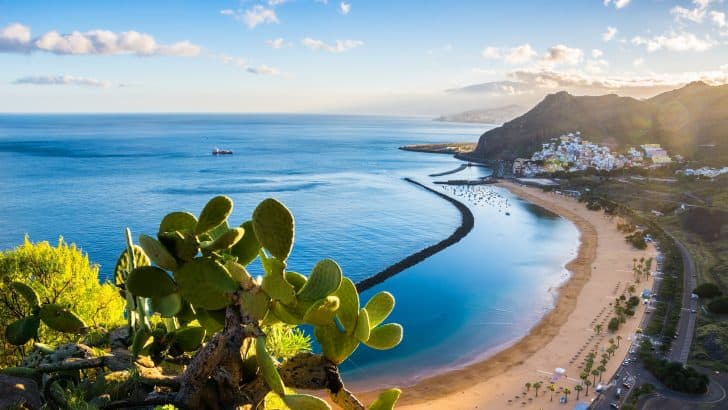 Tenerife with kids: family holiday guide