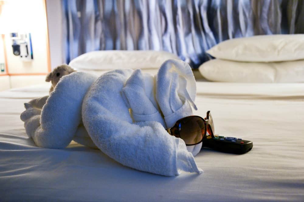 Towel animal in stateroom on Navigator of the Seas
