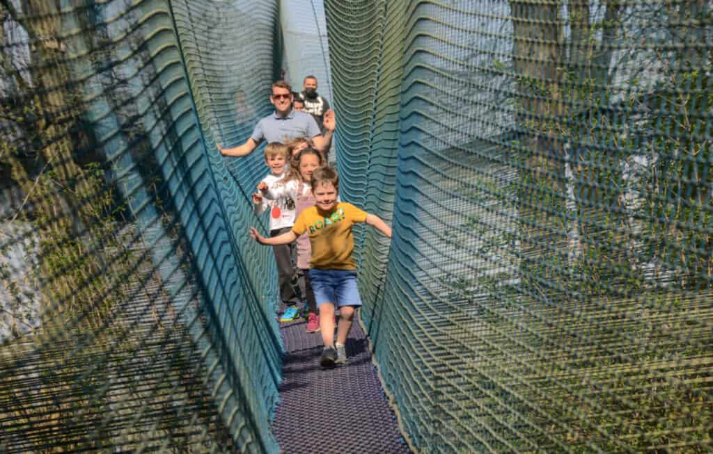 Family walking through Treetop Trails at Lightwater Valley