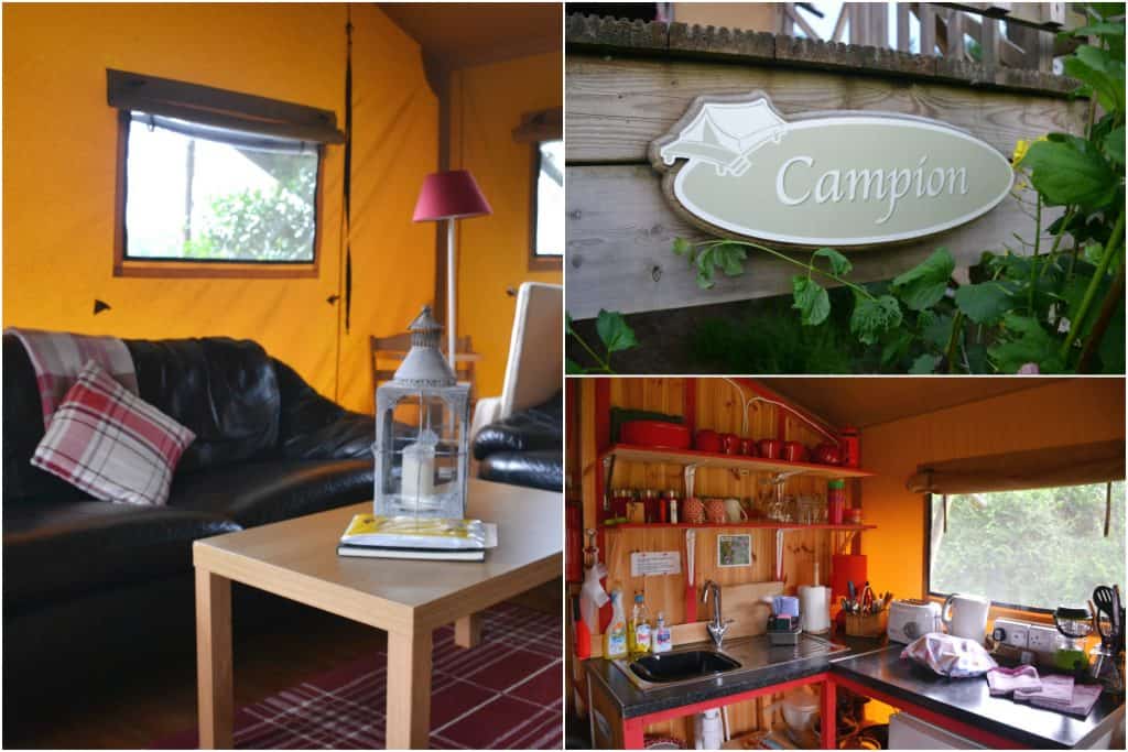 Campion glamping tent at Western Meadows Glamping - Dog-friendly glamping in Cornwall