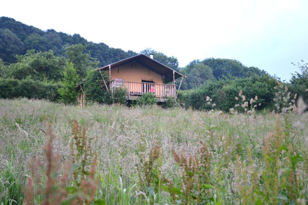 Glamping tent through grass at Western Meadows Glamping - Dog-friendly glamping in Cornwall