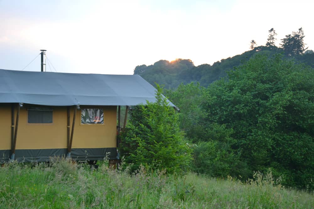 Glamping tent view at Western Meadows Glamping - Dog-friendly glamping in Cornwall