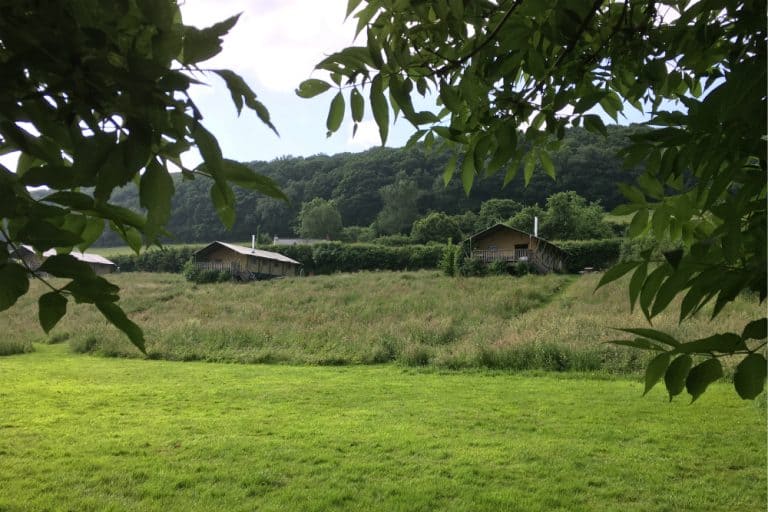 Glamping tents through trees at Western Meadows Glamping - Dog-friendly glamping in Cornwall