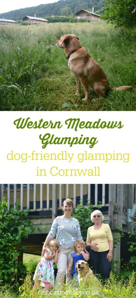 Looking for a luxurious camping site where pooches are as welcome as kids? Read our review of Western Meadows Glamping - dog-friendly glamping in Cornwall #glamping #dogfriendlyholiday #selfcatering #visitCornwall #Cornwall #luxurycamping #camping #familyholiday #familycamping