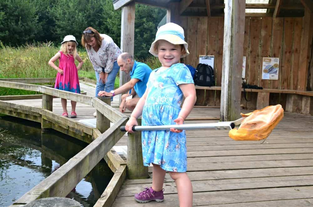 Baby pond dipping - things to do Seaton, Devon