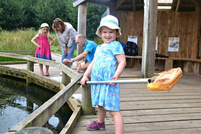 Baby pond dipping - things to do Seaton, Devon