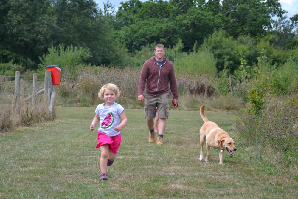 Dog walk at Cealy Meadows - camping at Crealy Adventure Park