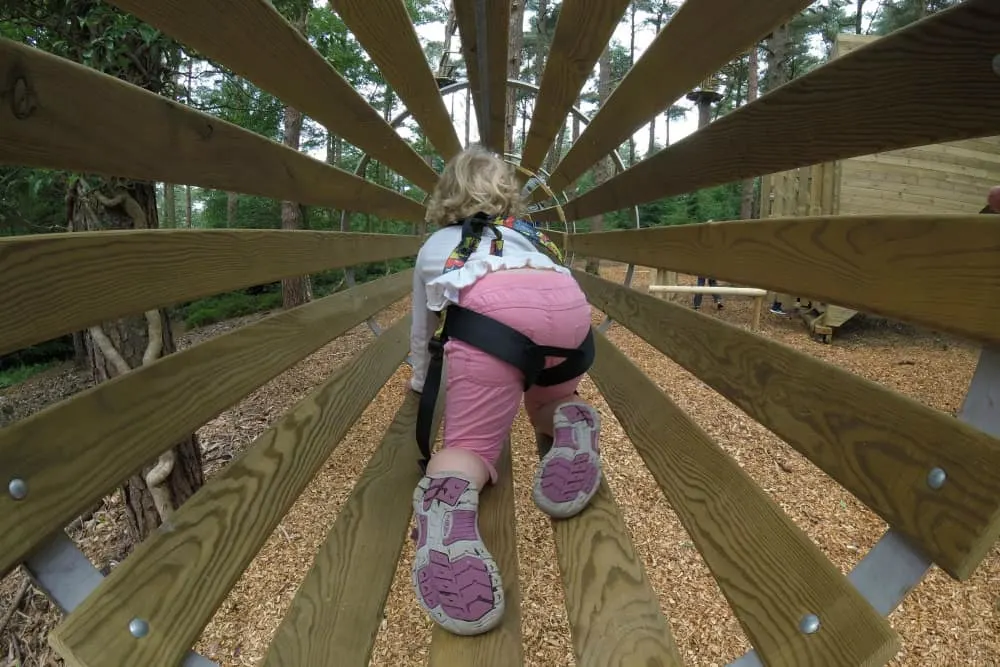 Tin Box Baby in tunnel at Go Ape Exeter: Tree Top Junior Adventure at Haldon Forest
