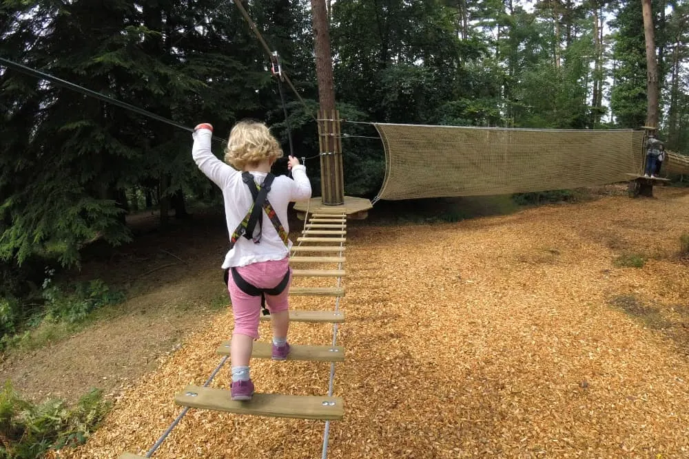 Tin Box Baby on low course at Go Ape Exeter: Tree Top Junior Adventure at Haldon Forest
