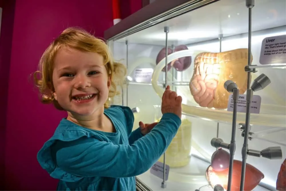Tin Box Baby and body organ exhibit Eureka Halifax - short break in Yorkshire