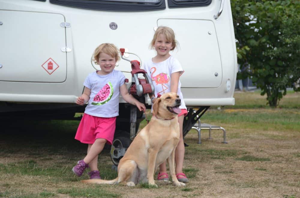Tot Baby and Dog with Tin Box - Caravan vs Camper Van