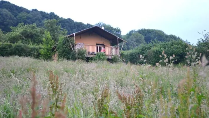 Glamping tent at Western Meadows - self catering holidays in Cornwall