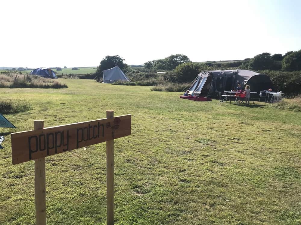 Poppy Patch camping area at Strawfields campsite - Glamping in North Devon