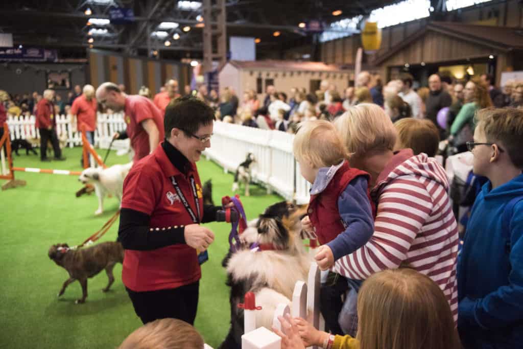 Arena at The Caravan, Camping & Motorhome Show - win tickets