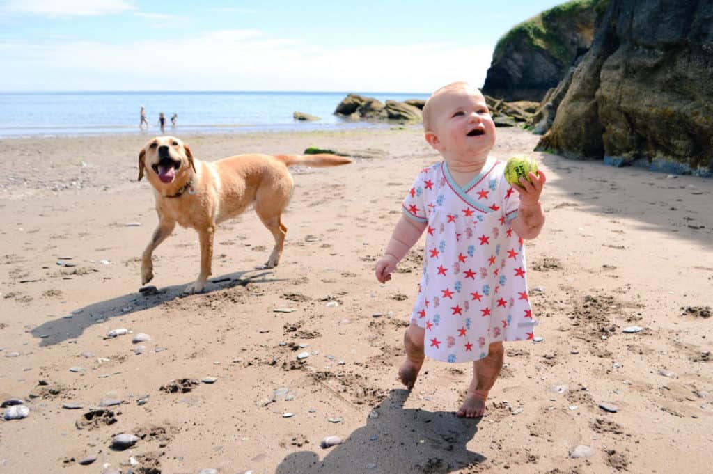Choosing a puppy - Tin Box Dog and Baby