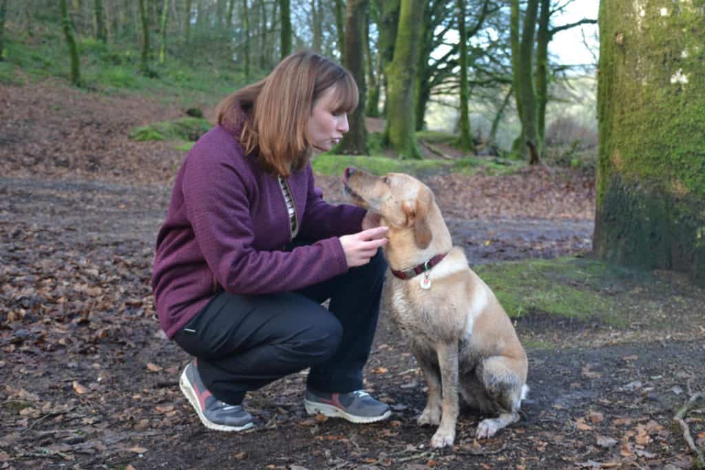 Choosing a puppy - Tin Box Dog muddy