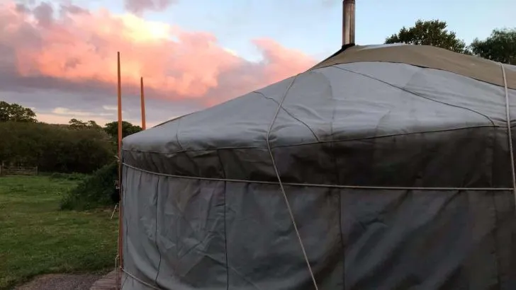 Blackdown Yurts at sunset - glamping in Devon