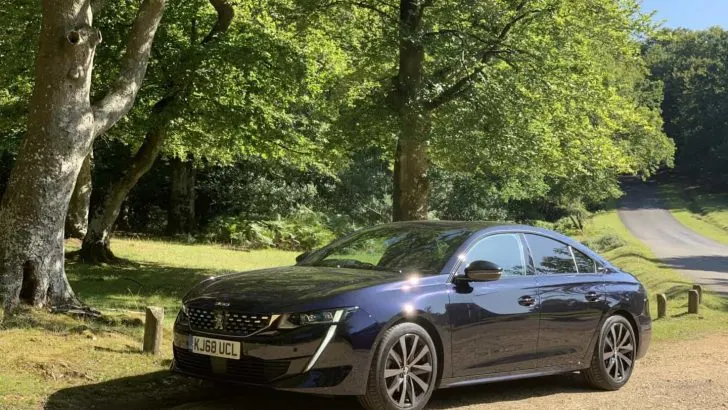 Peugeot 508 Fastback in woodland