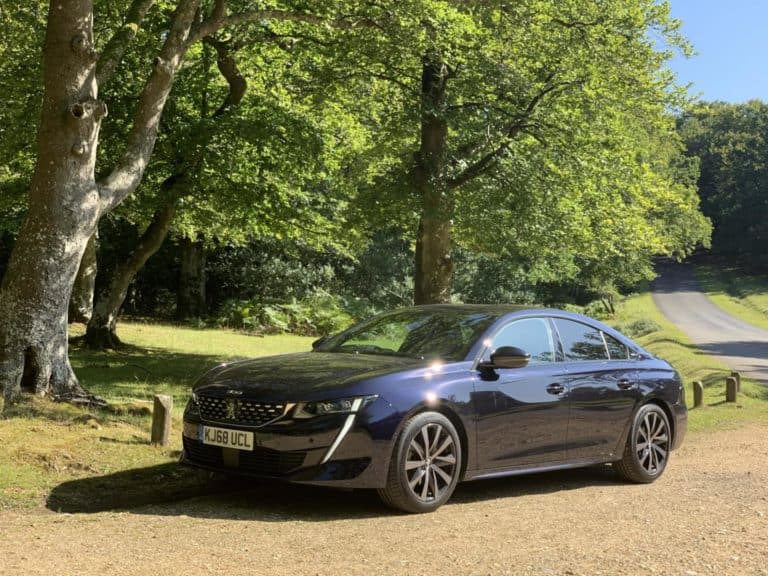 Peugeot 508 Fastback in woodland