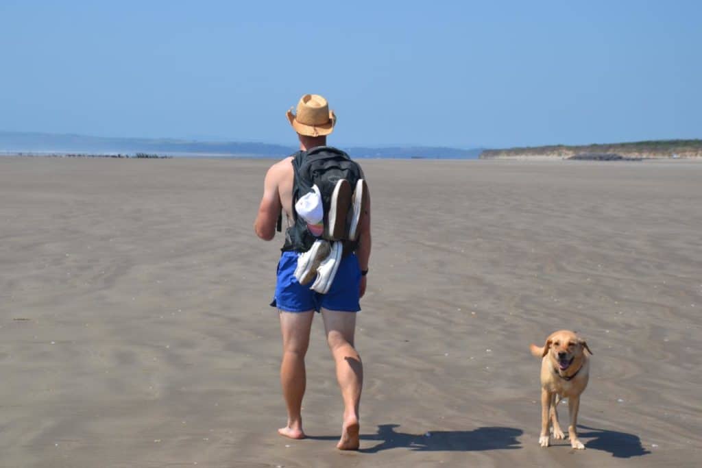 Dog and Mr Tin Box walking on Cefn Siden beach in Wales