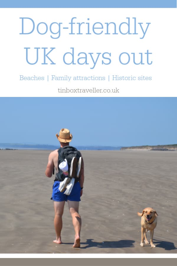 top-days-out-with-dogs-in-the-uk-from-beaches-to-family-attractions