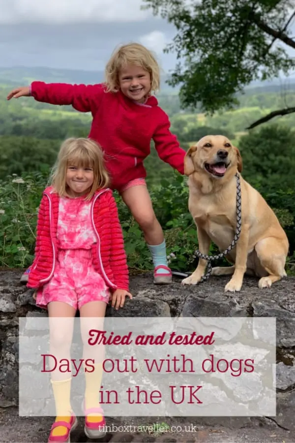 Dog and child hot sale friendly days out