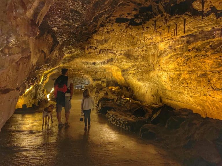 Family in Dan-yr-Ogof caves in Breacon Beacons in Wales