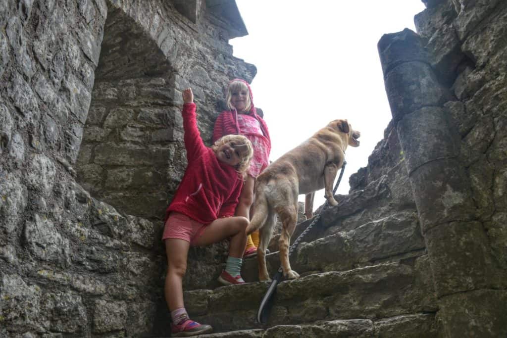Girls and dog on spiral stairs at Carreg Cennen Castle in Wales