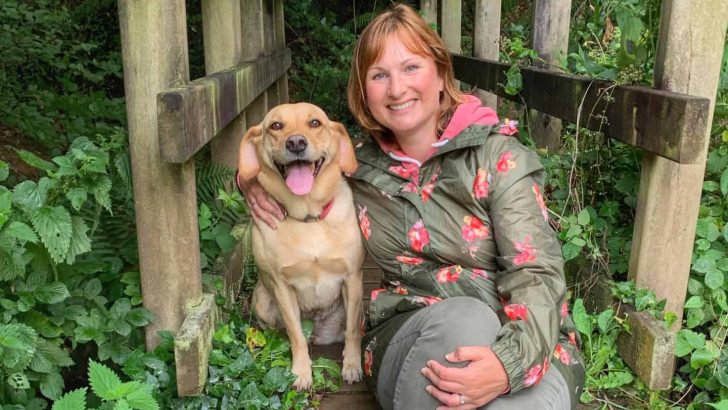 Tin Box Traveller and dog sat on bridge