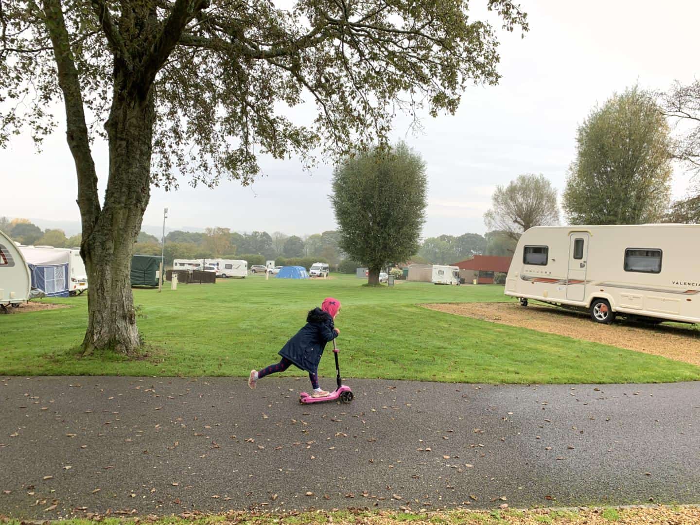 Reviewed: Verwood Camping and Caravanning Club Site in Dorset - Tin Box  Traveller