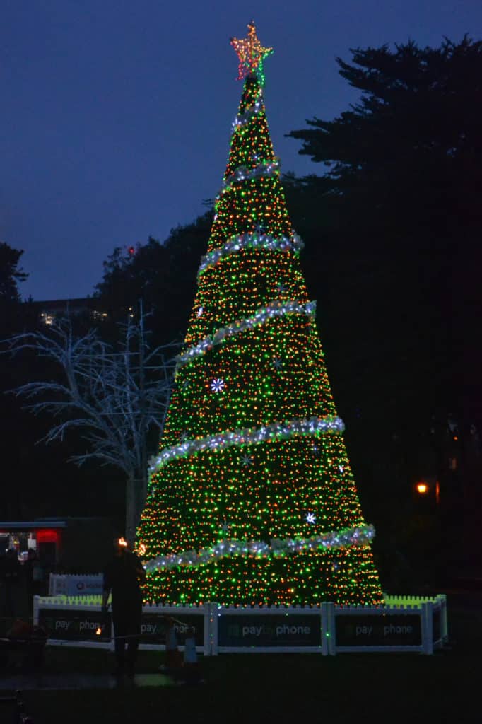 Pay by Phone Christmas Tree at Bournemouth Christmas Tree Wonderland