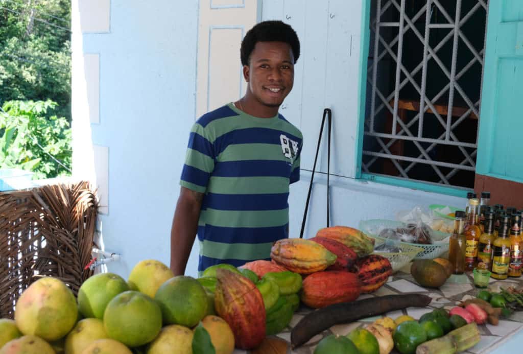 Fruit stall at view point during St Lucia tour