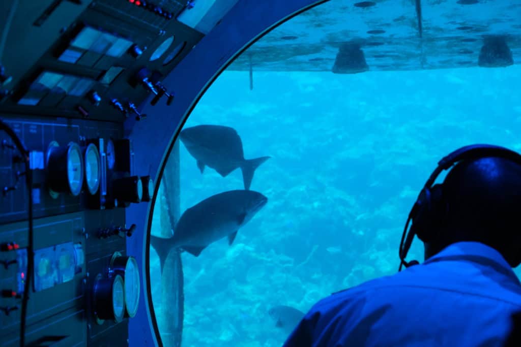 Fish swimming around in front of the submarine's cockpit