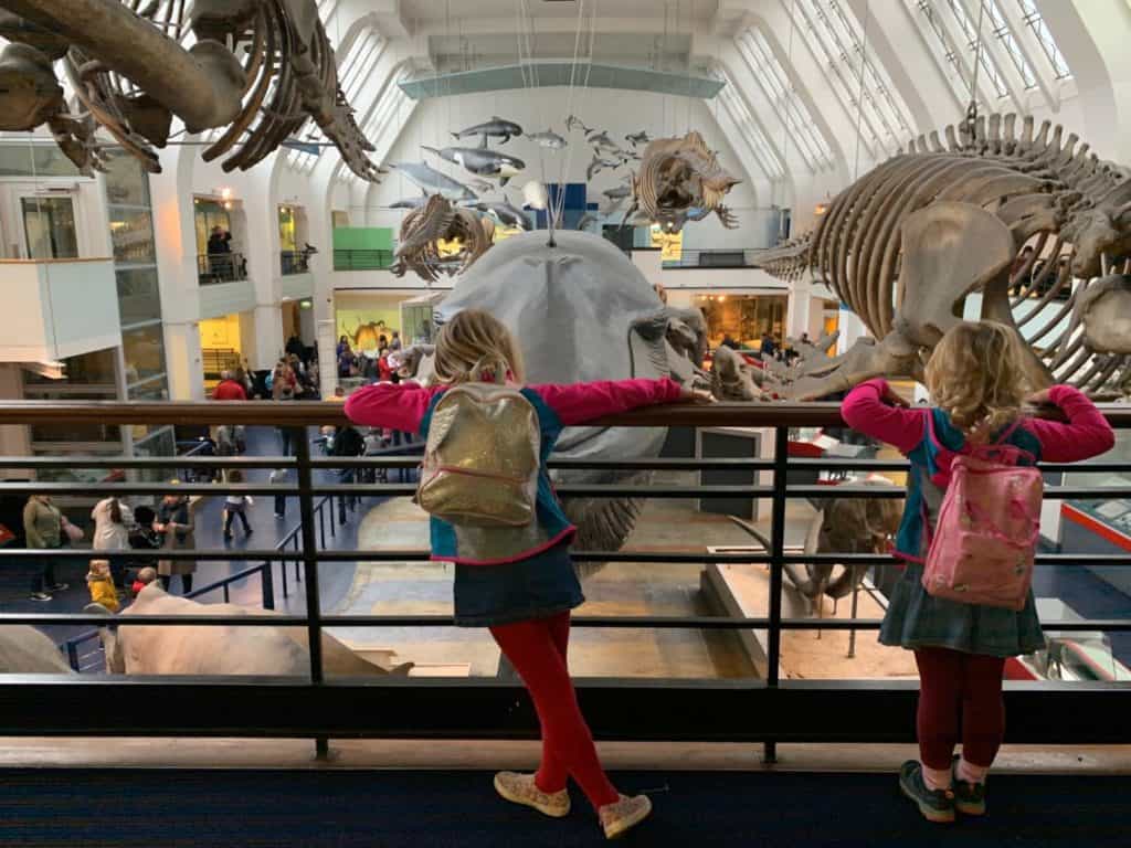 Tin Box girls stood on the balcony in the Mammels zone of the Natural History Museum in London