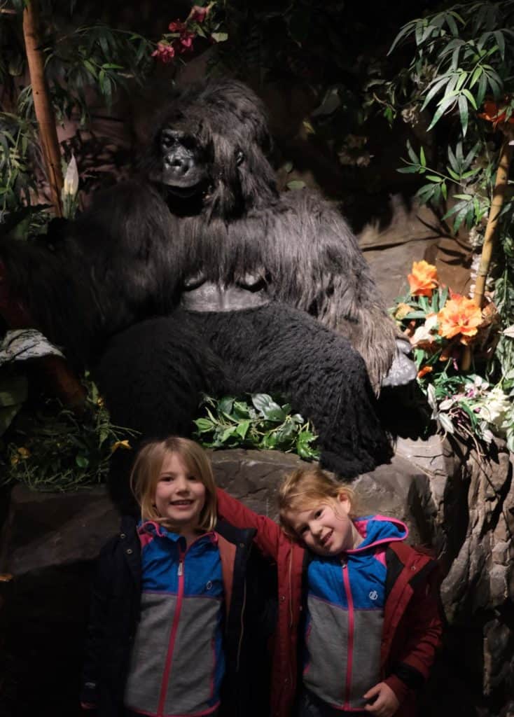Tin Box girls stood in front on a gorilla in the Rainforest Cafe in London