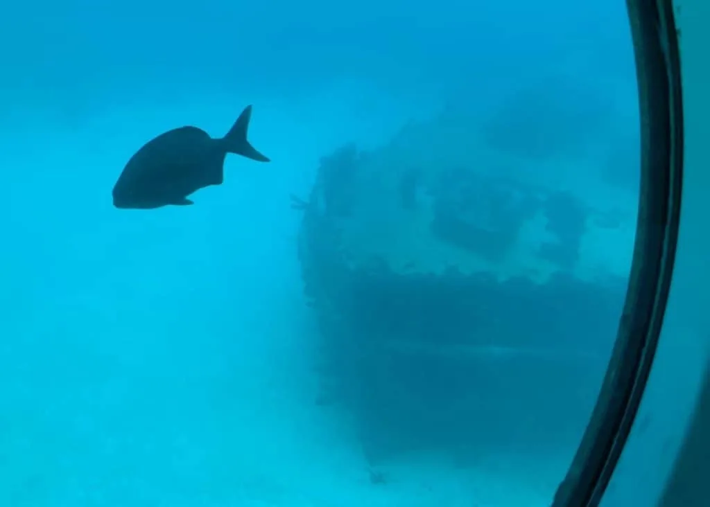 Lord Willoughby ship wreak