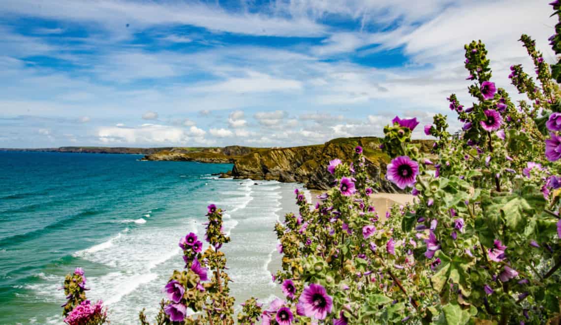 10 best holiday parks in Cornwall for families 2022