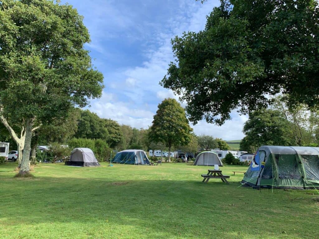 Campsite pitches at Little Winnick - a campsite near St Austell in Cornwall