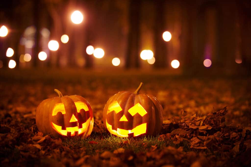 Two Kind Halloween Pumpkins in the park at night