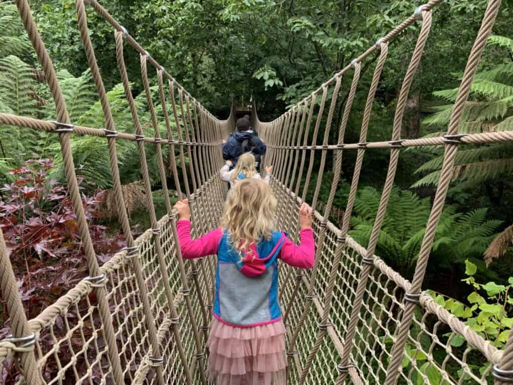 Burma Rope Bridge at the Lost Gardens of Heligan