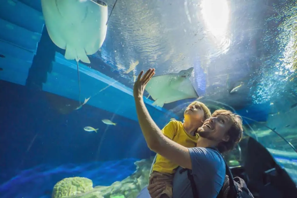 Father and son looking at fish in a tunnel aquarium.