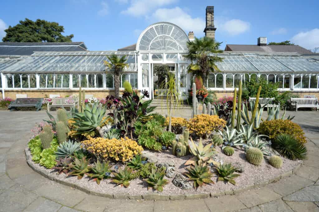 Glasshouse at Birmingham Botanical Gardens
