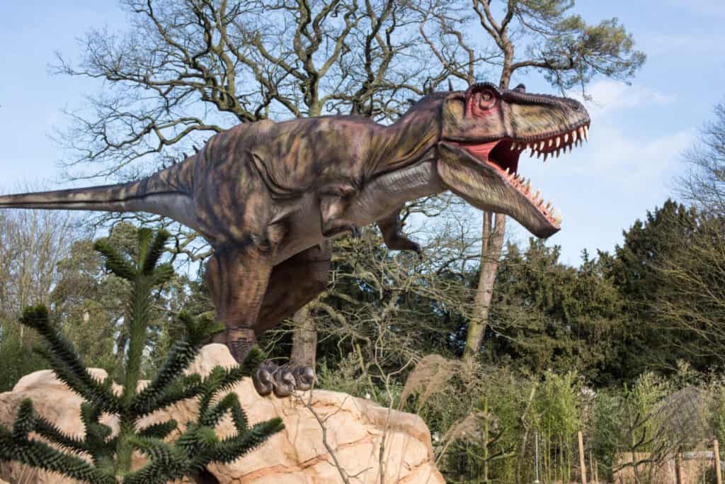 Tyrannosaurus dinosaur at West Midlands Wildlife Park Land of the Living Dinosaurs