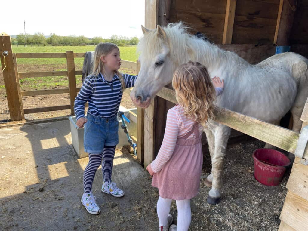 Enfants caressant un poteau blanc dans une écurie