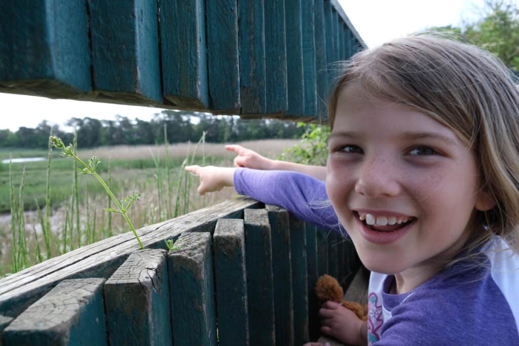 Girl spotting wildlife from bird hide at Upton Country Park in Poole
