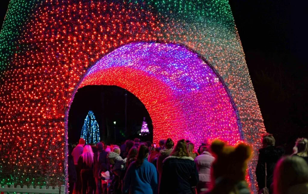 Walk through Christmas tree at Bournemouth Christmas Tree Wonderland