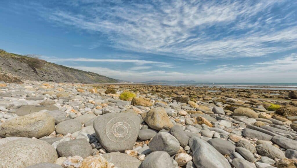 An ammonite fossil on the beach close to Lyme Regis on Dorset's Jurassic Coast.