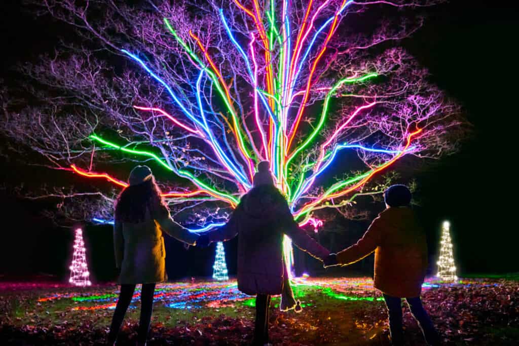 Neon Tree - family stands in front of illuminated tree