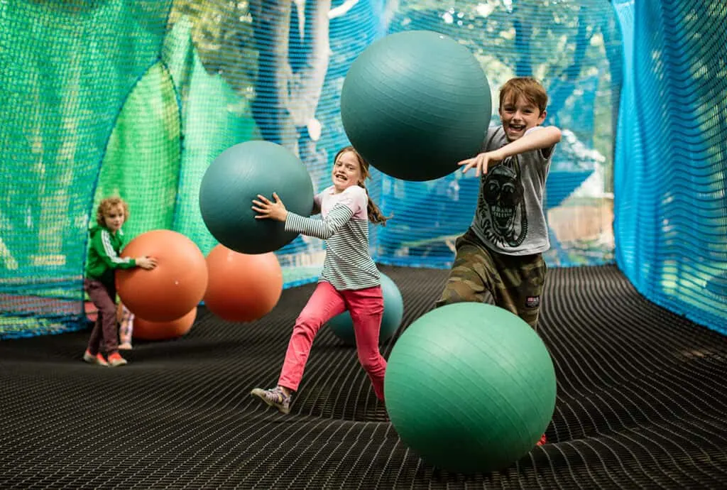 Kids playing with giant balls in Treetop Nets