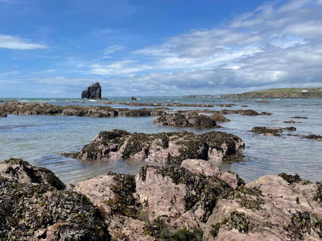View across rock pools towards Thurlestone Rock at South Milton Sands